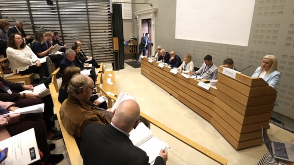 The committee's report was published this afternoon (Pics: RollingNews.ie)