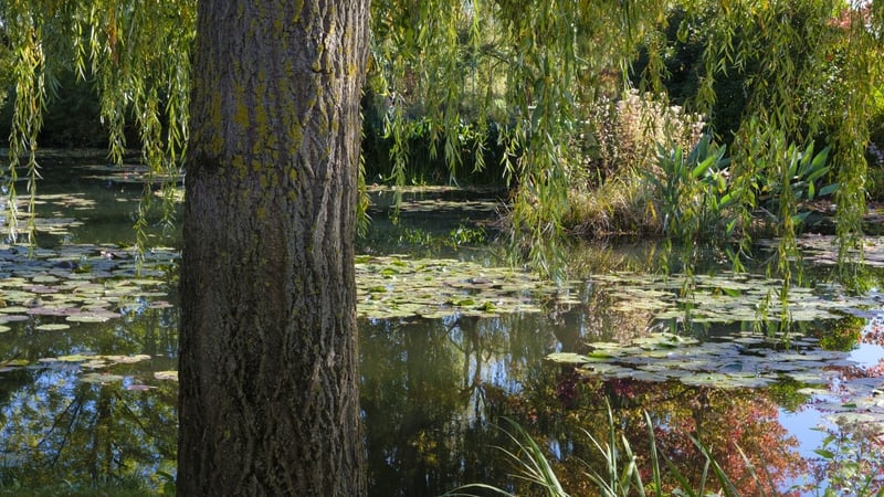 Europe’s Greatest gardens 