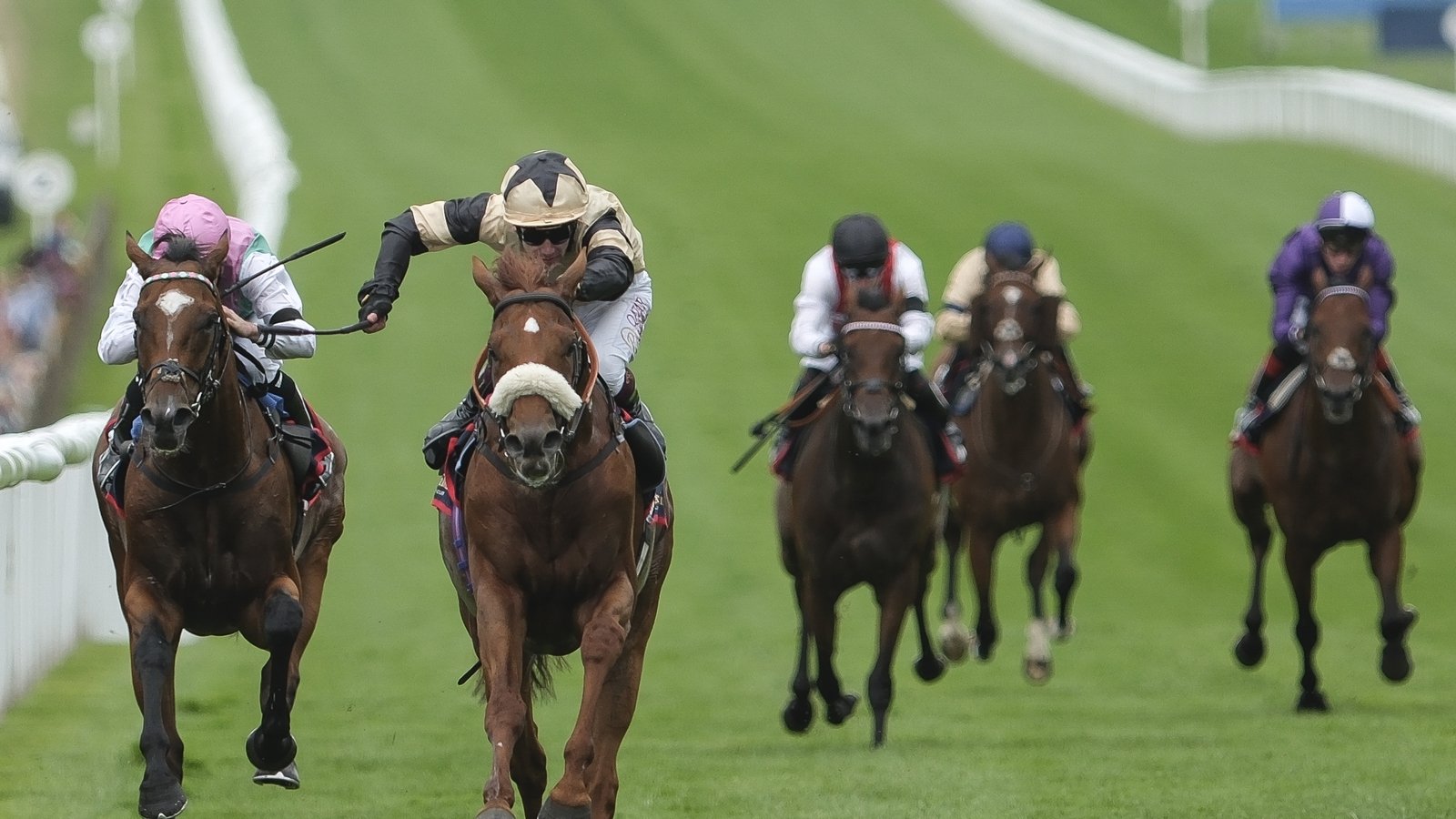 Giavellotto and Whistlejacket land big Newmarket prizes