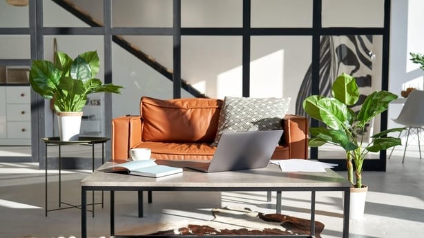 Modern sunny living room