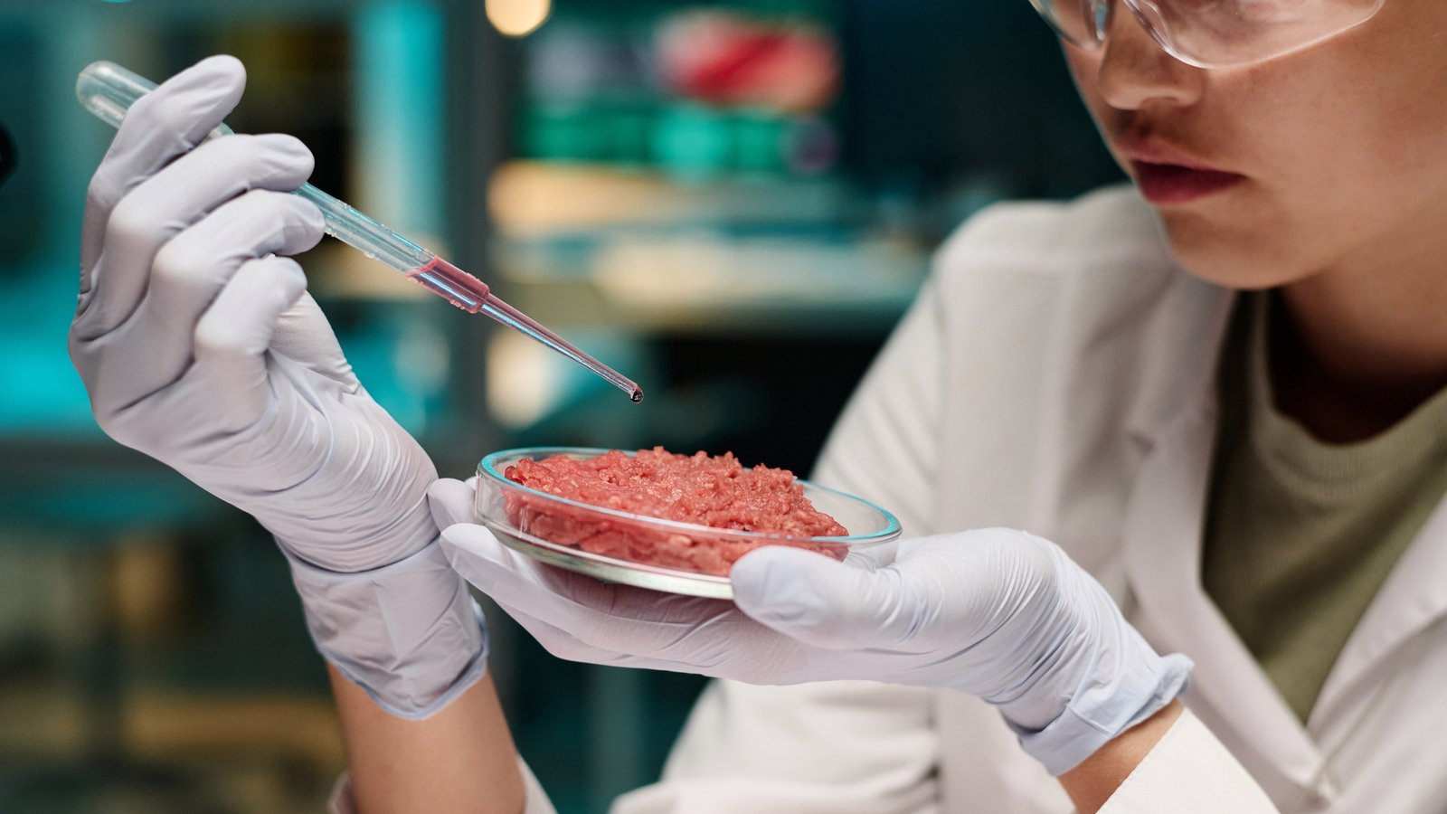 英国监管机构批准销售培育肉