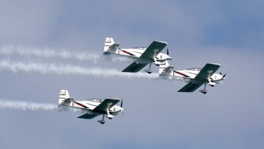 Bray air show