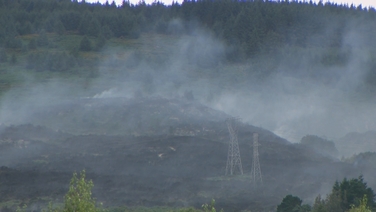 Firefighting operations continuing at gorse wildfire near Sandyford, Dublin
