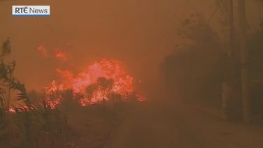 Greek wildfire spreads closer to edge of Athens