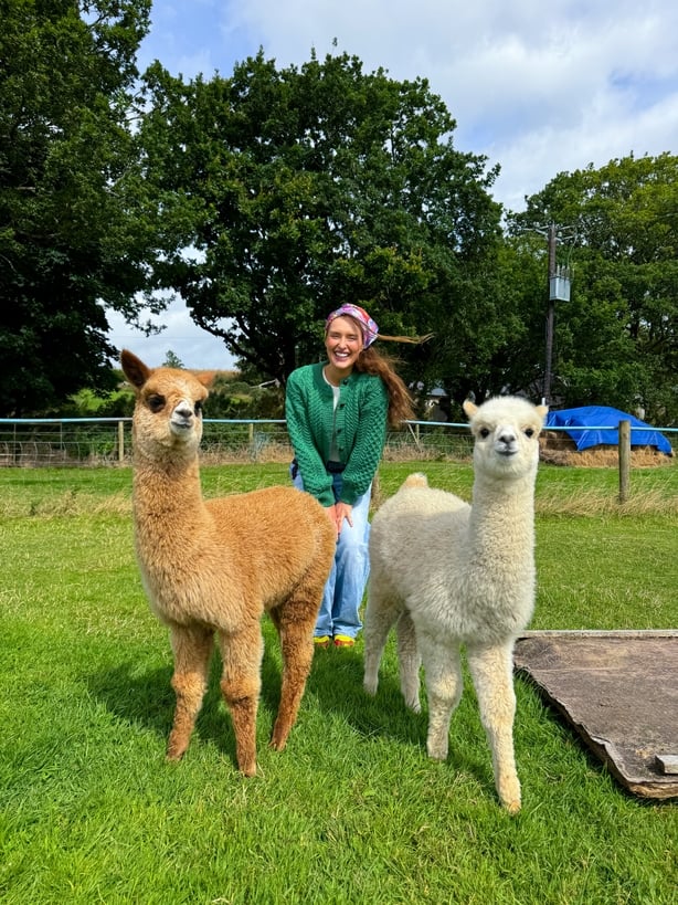 K2alpacas