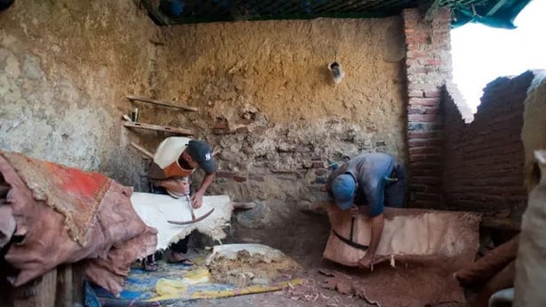 Materials like leather, wool and cashmere result in significant deforestation and degradation (Alamy/PA)