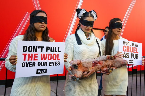Protestors stand with a sign reading "don't pull the wool over our eyes" with blindfolds on