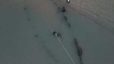 Work to identify historic shipwrecks on Portmarnock beach