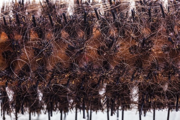 Dirty barrell brush head coiled with hair