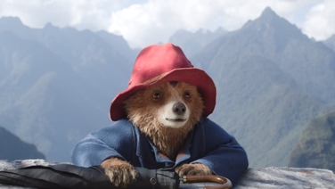 Paddington In Peru