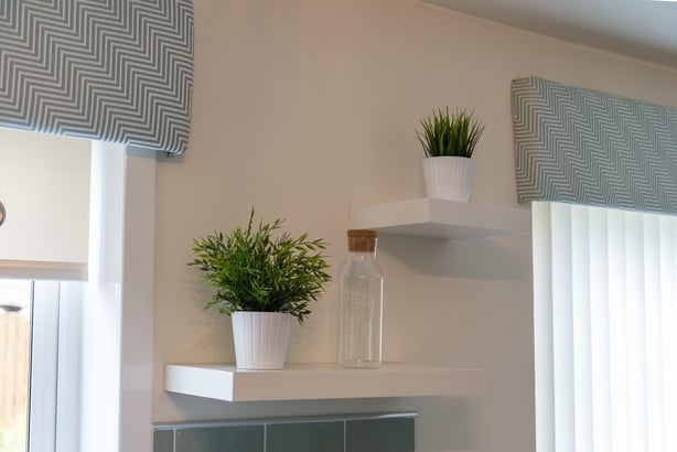 Two green plants and a jar on kitchen shelving