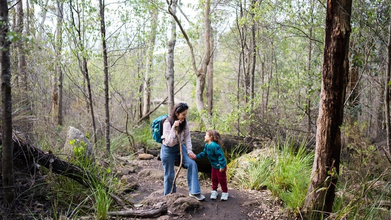 Forest walks: “Take off your headphones!”