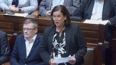 McDonald: Govt being 'rolled over' on NCH delays