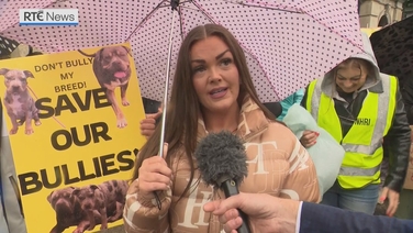 Protesters call on Government to review XL Bully ban