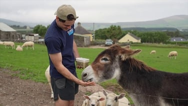 Marius Monaghan's guide to Dingle