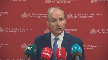 Tánaiste says 24 Irish citizens and dependents evacuated from Lebanon