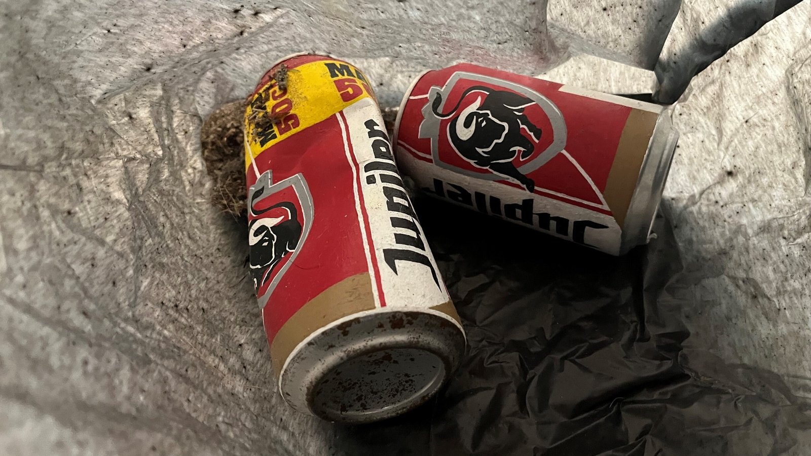 'Beer Can' Artwork Mistakenly Ends Up In Bin