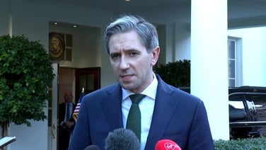 'We know what it is like in Ireland to not feel seen by the world' - Taoiseach