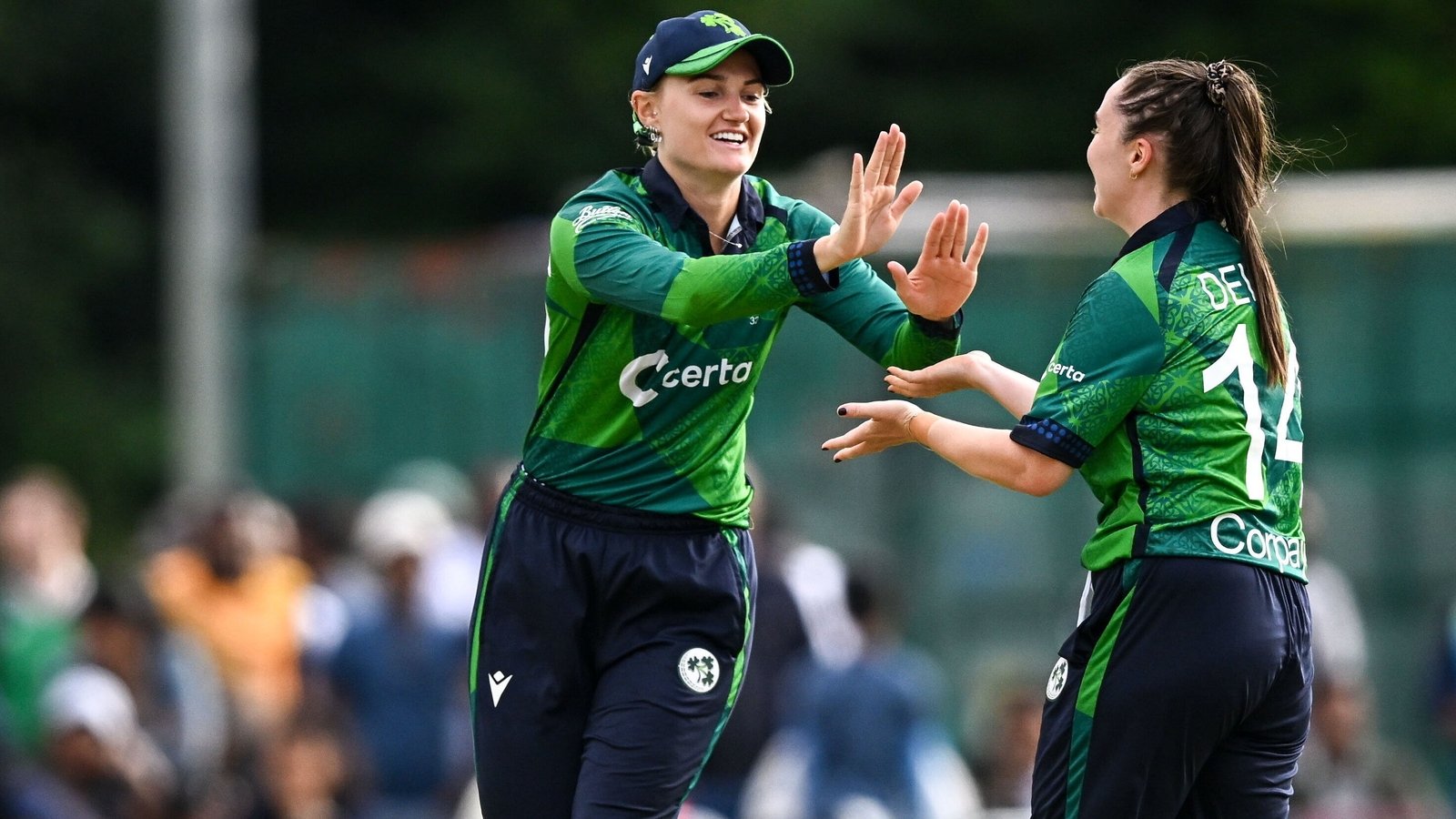 Lewis succeeds Delany as Ireland cricket captain