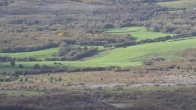 Burren Pine Project