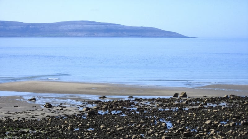 Grazing on a Galway beach