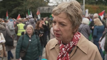 Labour leader Ivana Bacik said if her party is in the next government, they will ensure passage of Occupied Territories Bill
