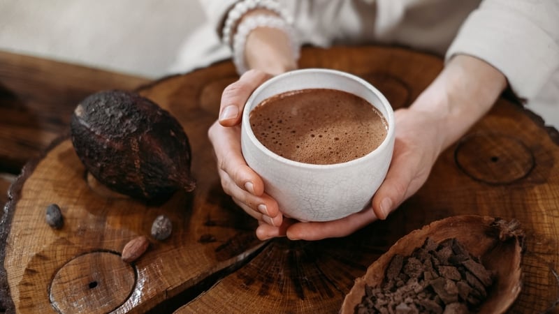 Cocoa may protect against negative effects of fatty foods