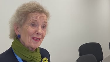 ‘So many fossil fuel people’ at COP29, says Mary Robinson
