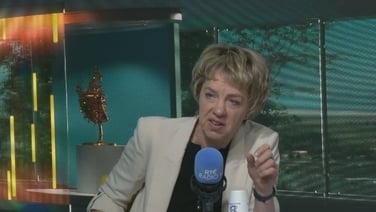 Green Party and Soc Dems share common vision with Labour - Bacik