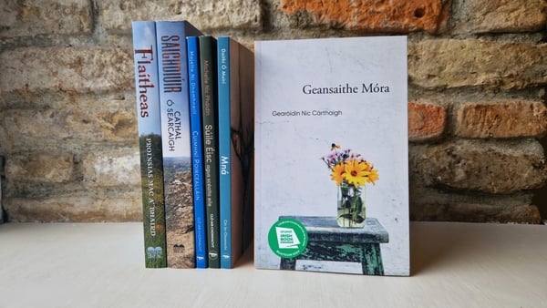 Buaiteoir Gradam Love Leabhar Gaeilge 2024, 'Geansaithe Móra'.