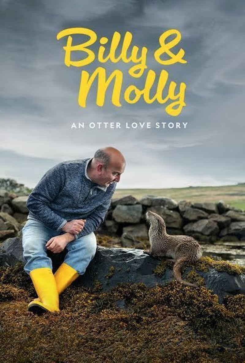 Billy & Molly: An Otter Love Story is on Disney+