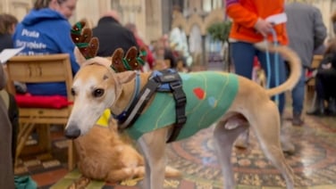 Peata carol service celebrates Santa's little yelpers at Christ Church Cathedral in Dublin