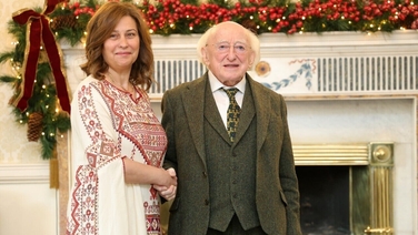 'Gross defamation and slander' to call Irish anti-Semitic, says President