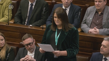 Newly-elected SF TD Joanna Byrne seconded nomination of McDonald