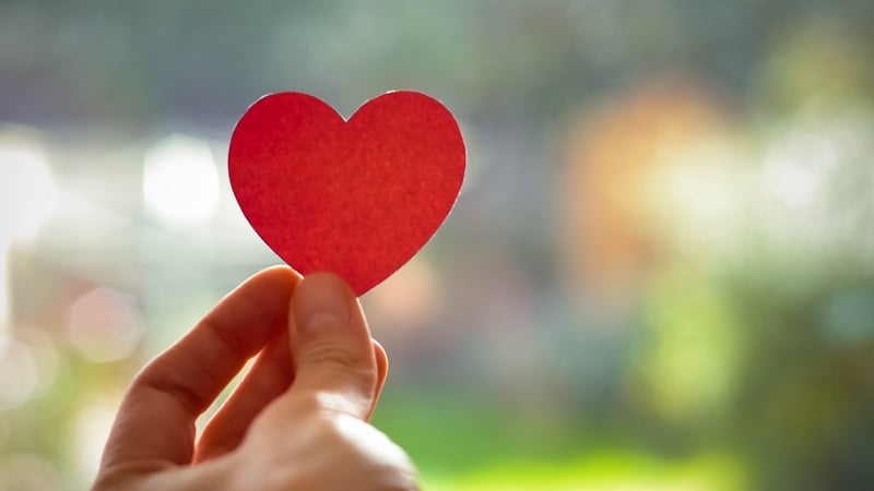 Organ transplant numbers down over 25% year on year