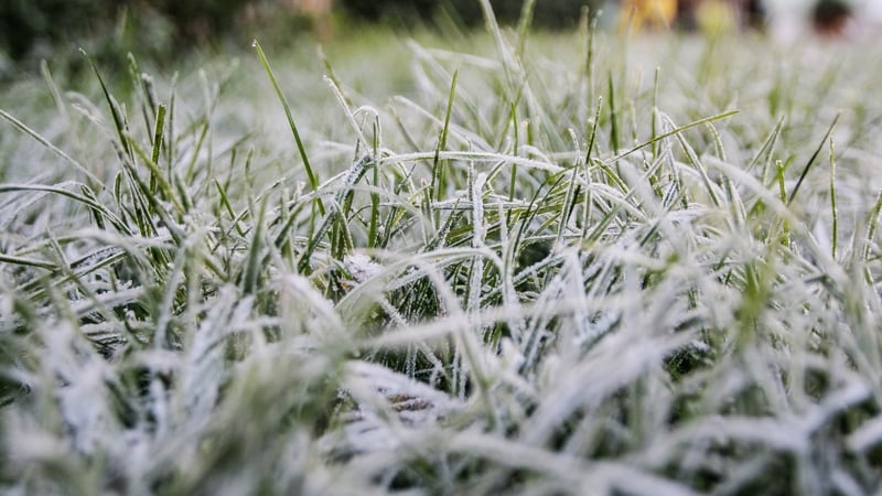 Ice warning issued as temperatures to drop as low as -3C