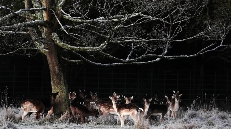 Ireland to be hit by ‘multi-weather hazard event’