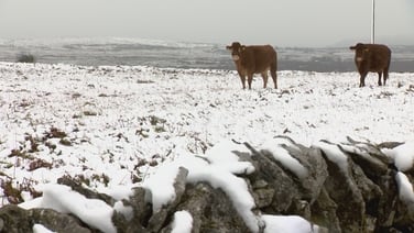 Snowy scenes from around Ireland as the country continues to experience a cold snap