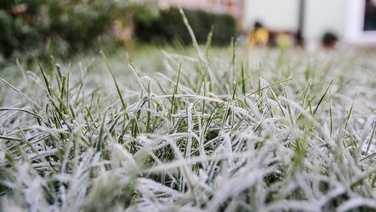 Red, Orange, Yellow: The weather warnings explained