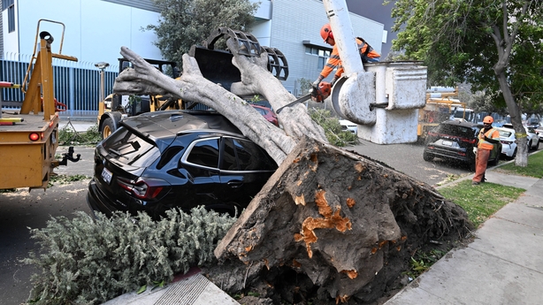 Emergency workers removing a fallen tree in Glendale