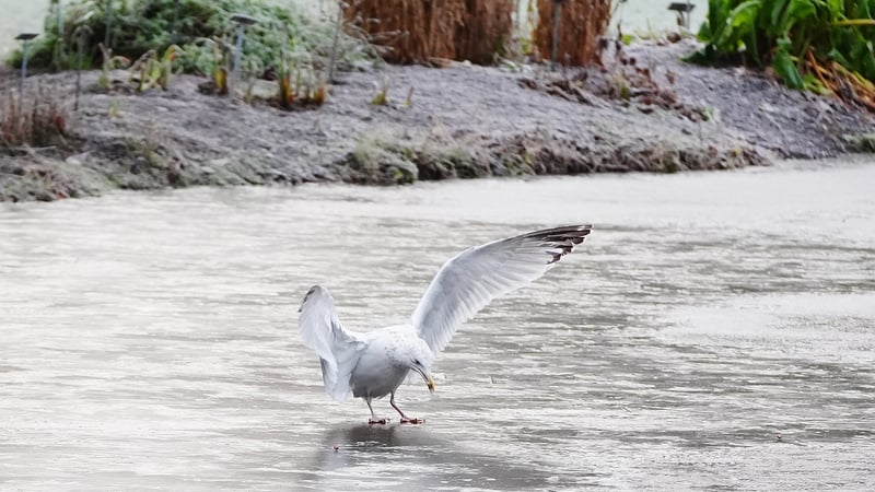 Icy conditions persist ahead of expected thaw