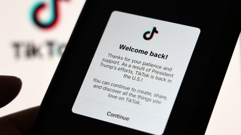 TikTok ‘is back in the US’ as app restores service