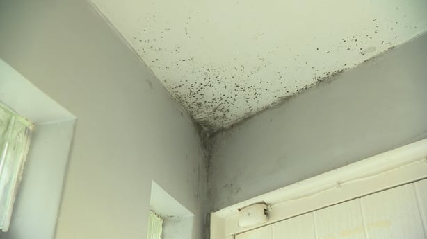 Black mould