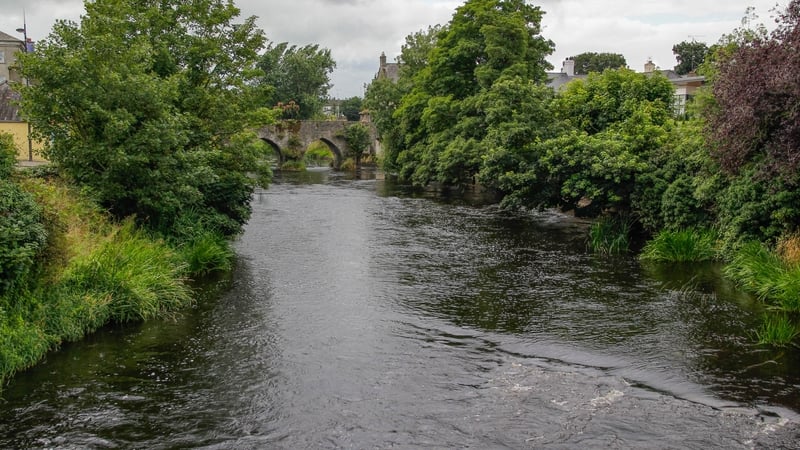 An Bhóinn i mBaile Átha Troim i gCo na Mí