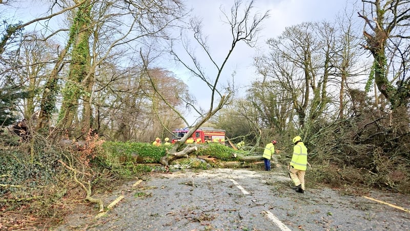 Calls for Dáil to be recalled in aftermath of Storm Éowyn