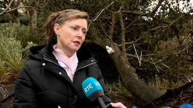 Storm Éowyn tears roof off Galway house