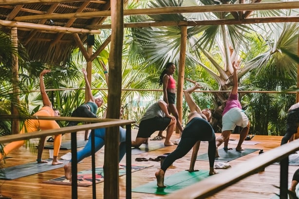 The yoga Shala at Nantipa (Nantipa/PA)