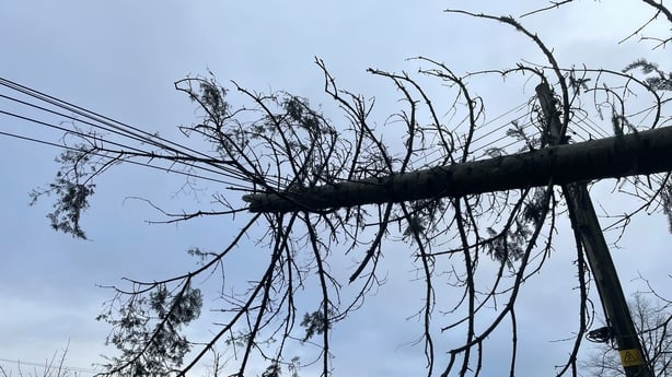 Power lines were taken down all across the country