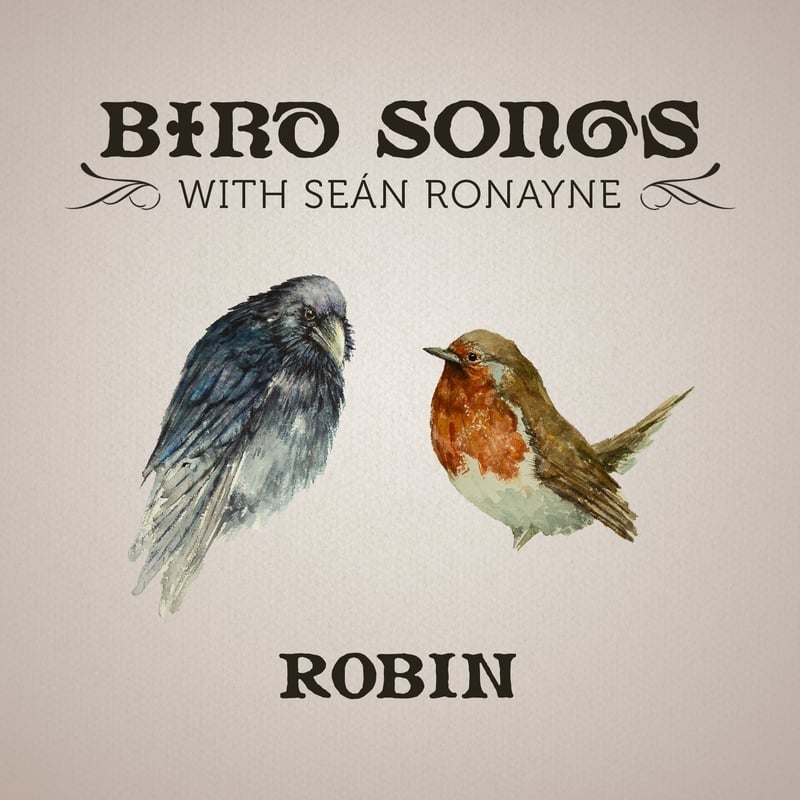 Robin | Bird Songs with Seán Ronayne episode artwork