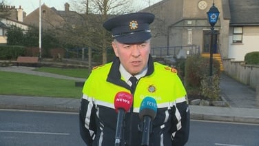 Gardaí investigating 'all avenues' after fatal Carlow road crash